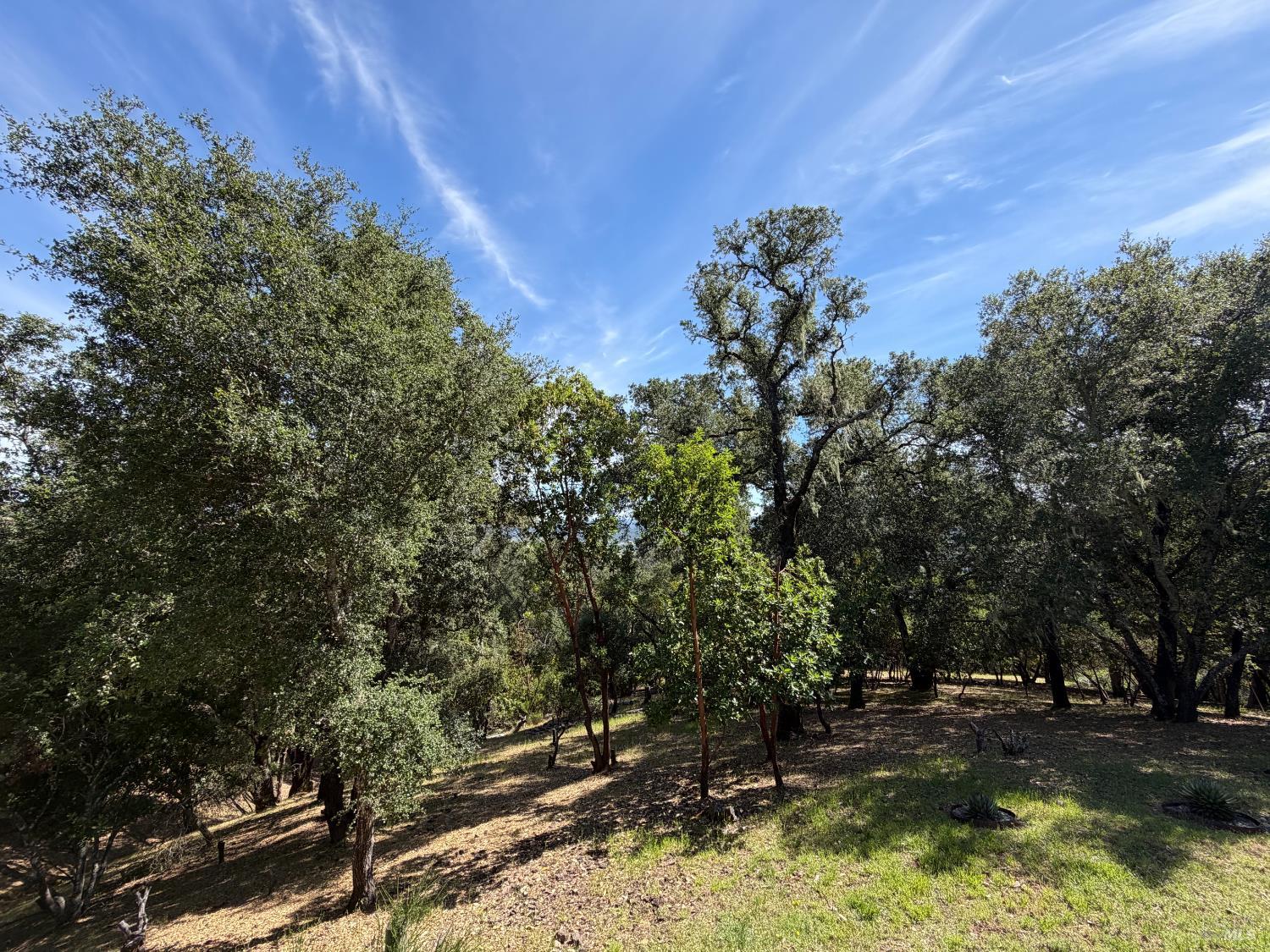 26841 Willow Terrace Cloverdale CA 95425