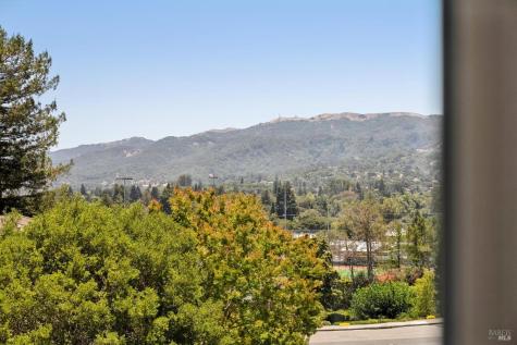 10 Santa Yorma Court Novato CA 94945