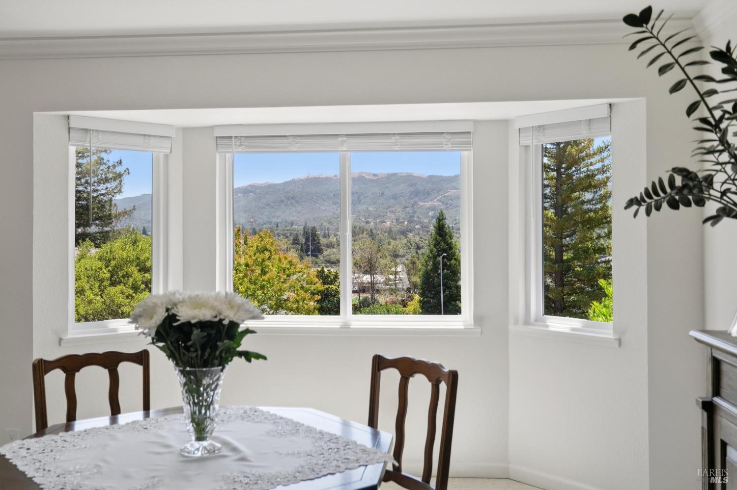 10 Santa Yorma Court Novato CA 94945