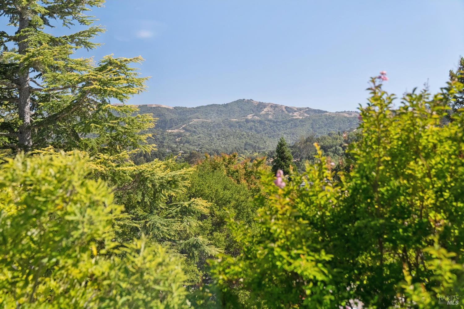 10 Santa Yorma Court Novato CA 94945