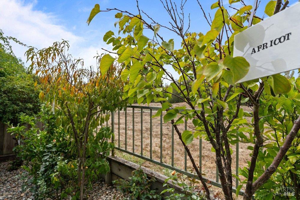 2010 Falcon Ridge Drive Petaluma CA 94954