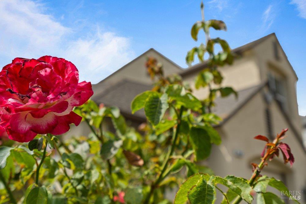 2010 Falcon Ridge Drive Petaluma CA 94954