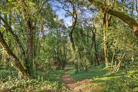 1450 Timberhill Road Santa Rosa CA 95401