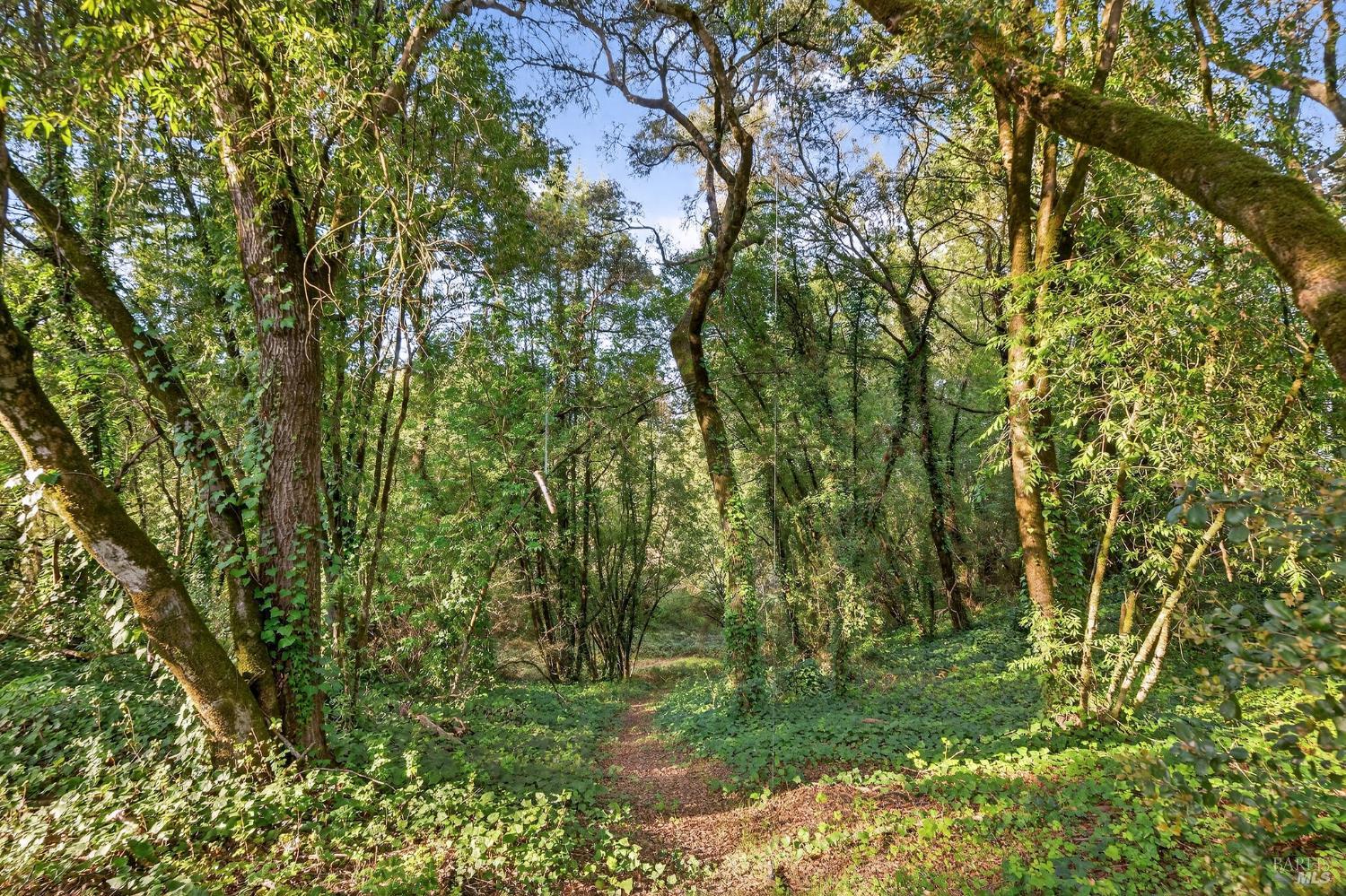 1450 Timberhill Road Santa Rosa CA 95401
