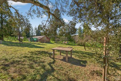 445 Marshall Avenue Petaluma CA 94952