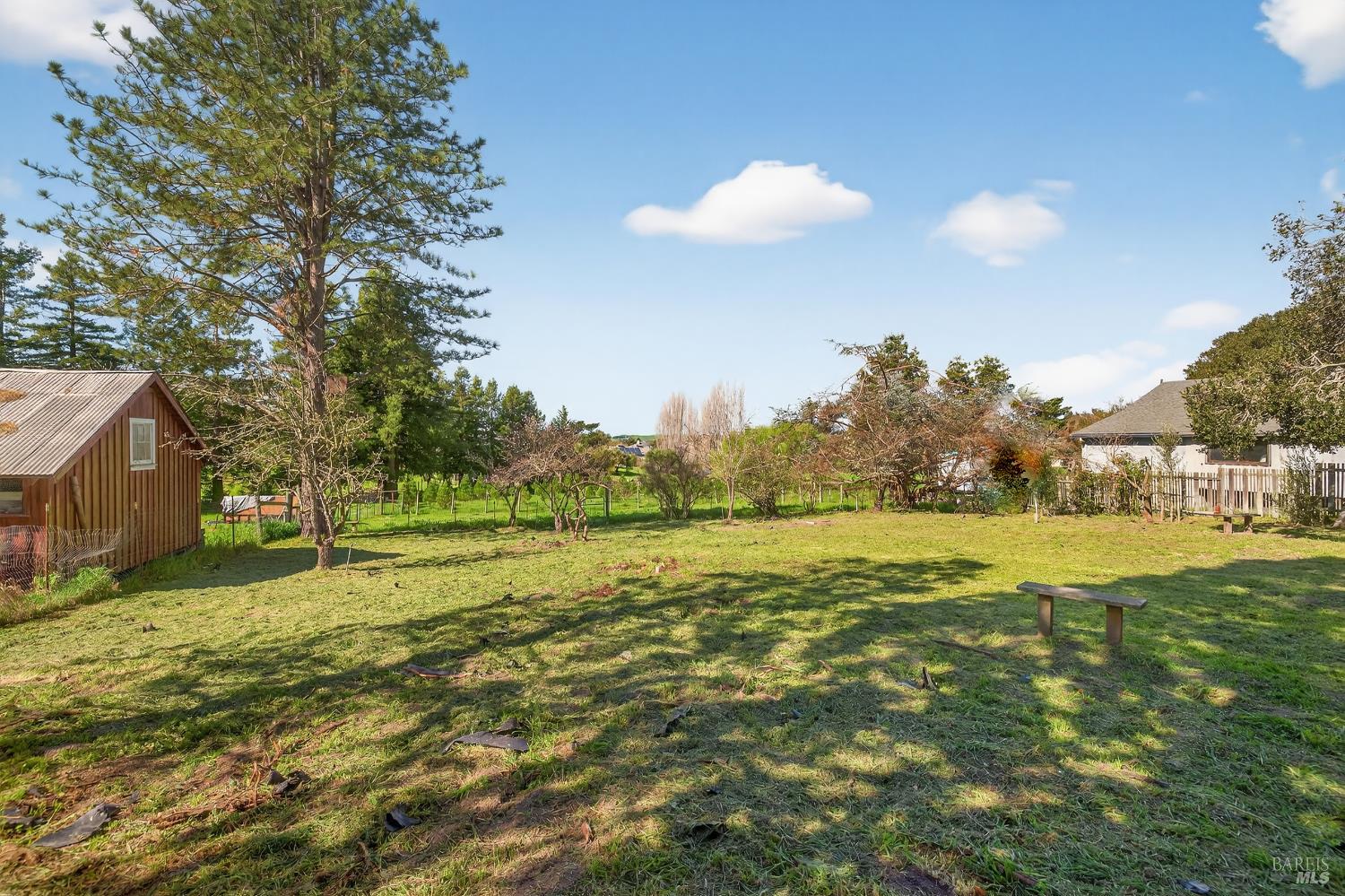 445 Marshall Avenue Petaluma CA 94952
