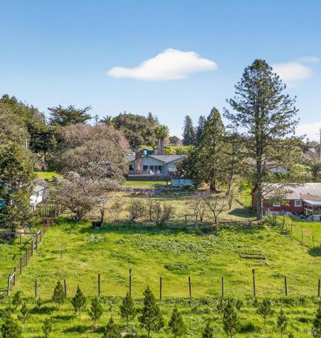 445 Marshall Avenue Petaluma CA 94952