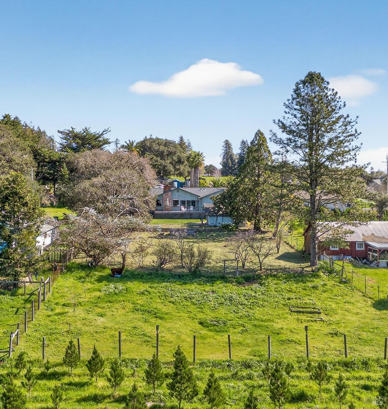 445 Marshall Avenue Petaluma CA 94952