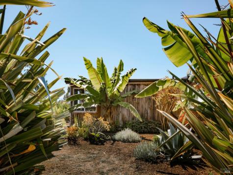 398 Dogwood Road Bolinas CA 94924