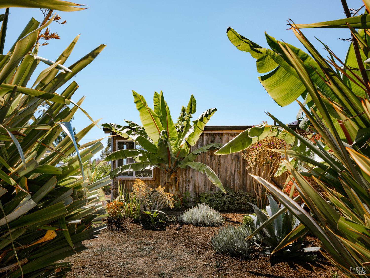 398 Dogwood Road Bolinas CA 94924