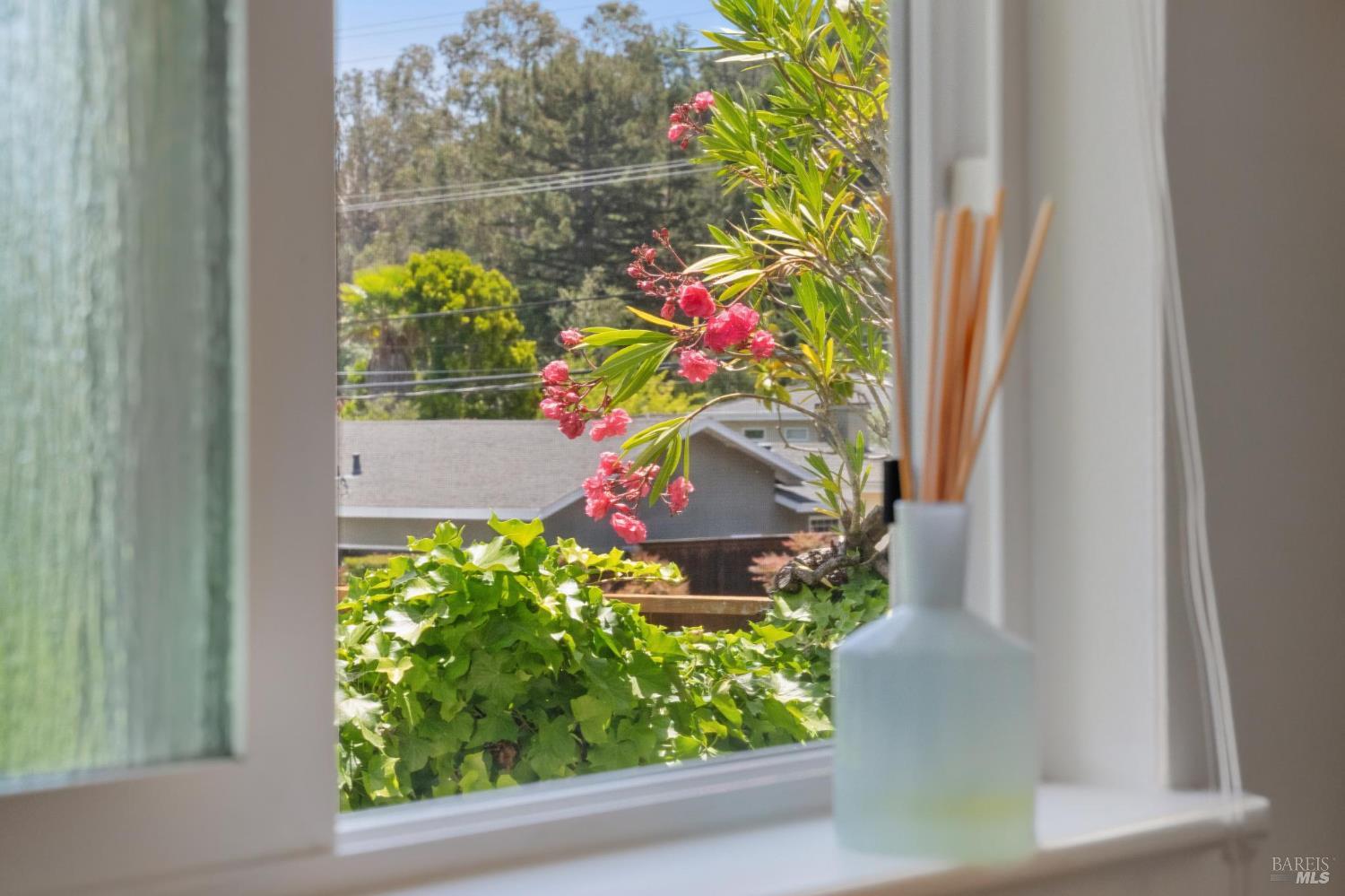 44 Robinhood Drive San Rafael CA 94901