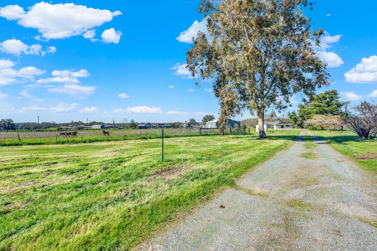 9862 Whalen Road Wallace CA 95252
