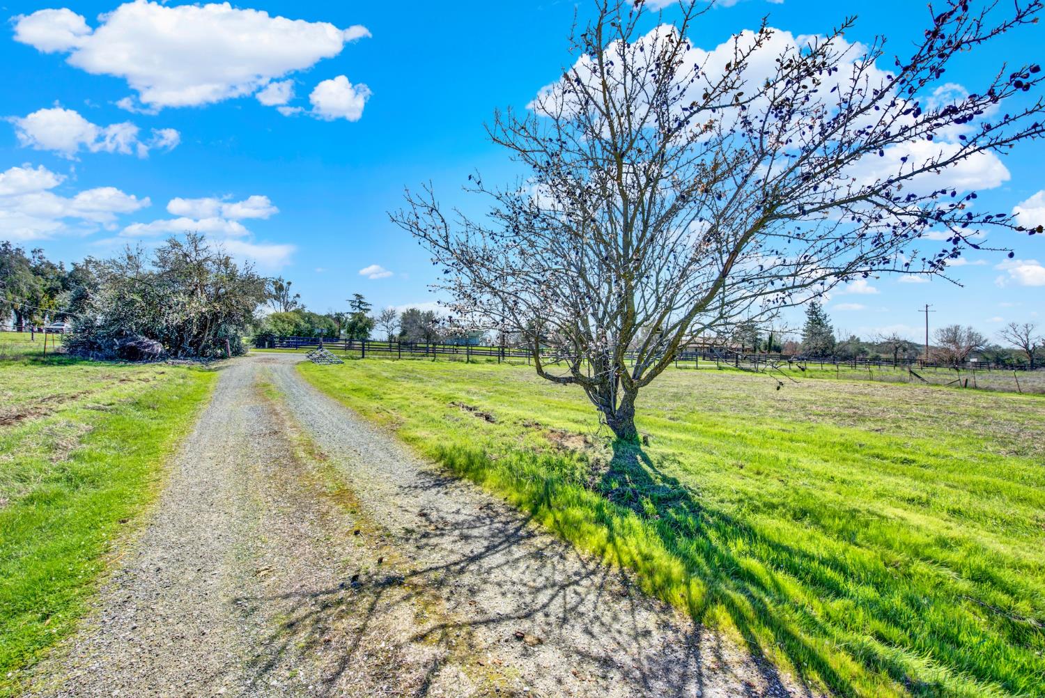 9862 Whalen Road Wallace CA 95252