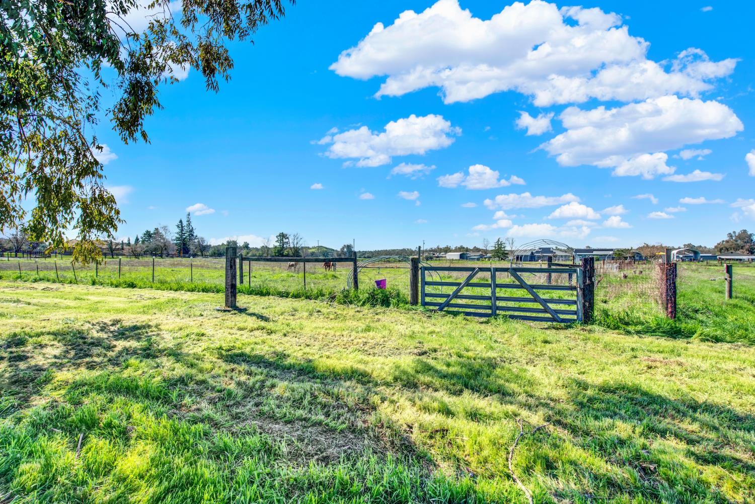 9862 Whalen Road Wallace CA 95252