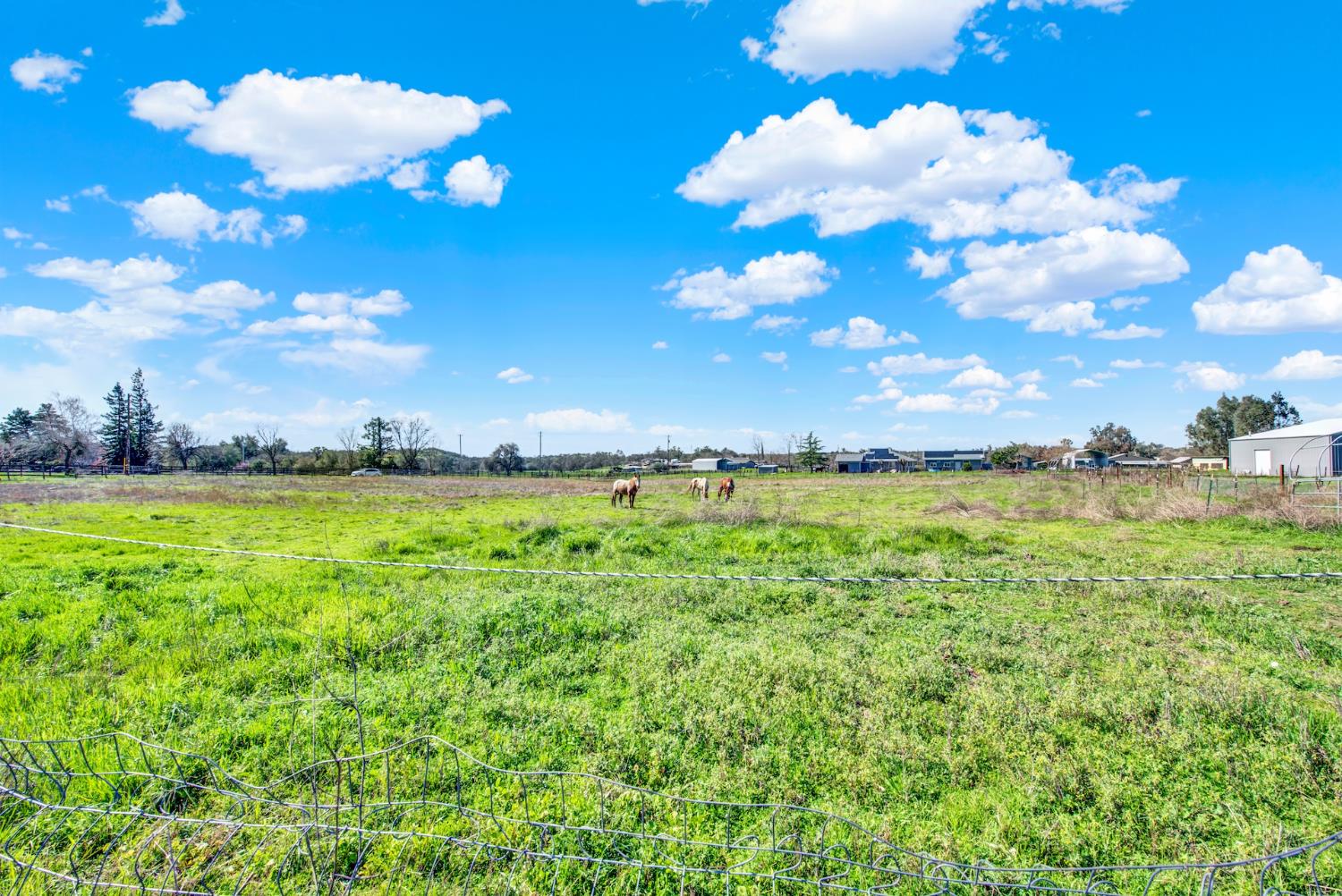 9862 Whalen Road Wallace CA 95252
