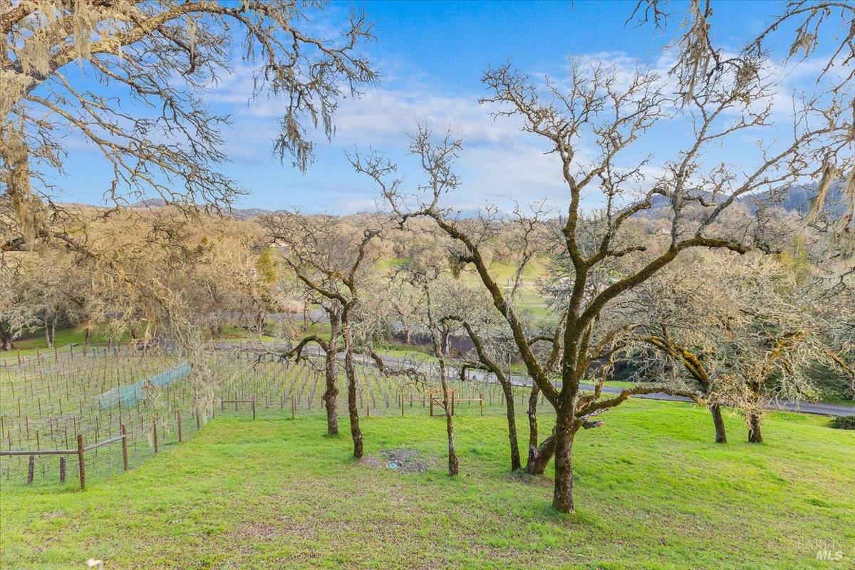 10045 Loch Haven Drive Santa Rosa CA 95404