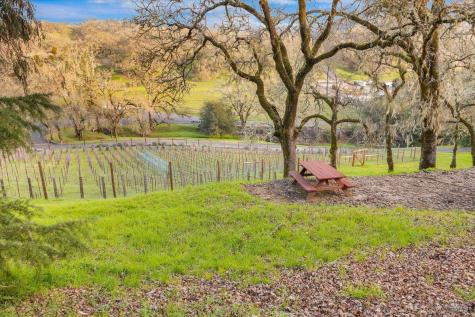 10045 Loch Haven Drive Santa Rosa CA 95404