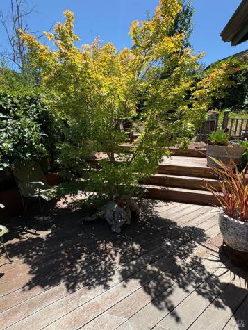 91 Rollingwood Drive San Rafael CA 94901