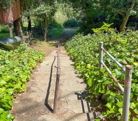 1914 Redwood Drive Healdsburg CA 95448
