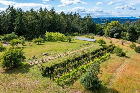 2630 Burnside Road Sebastopol CA 95472