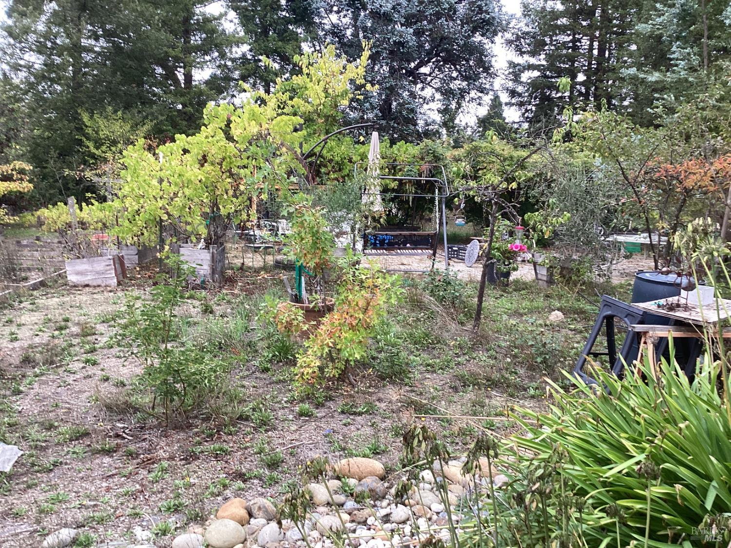 317 Windflower Court Windsor CA 95492