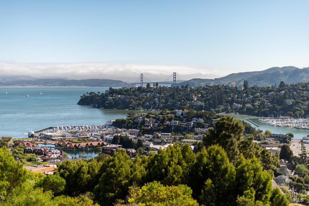 1754 Lagoon View Drive Tiburon CA 94920