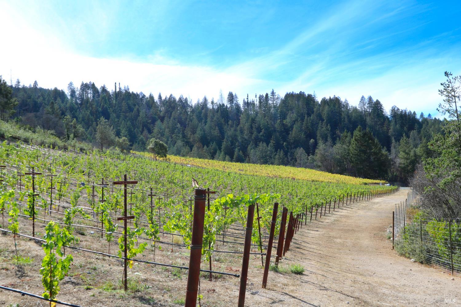1755 Diamond Mountain Road Calistoga CA 94515