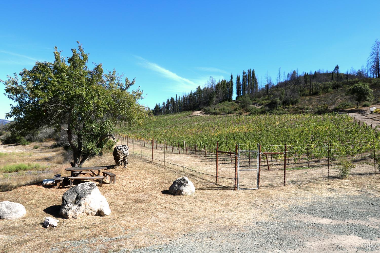 1755 Diamond Mountain Road Calistoga CA 94515