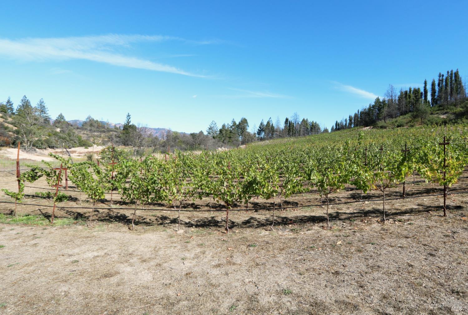 1755 Diamond Mountain Road Calistoga CA 94515