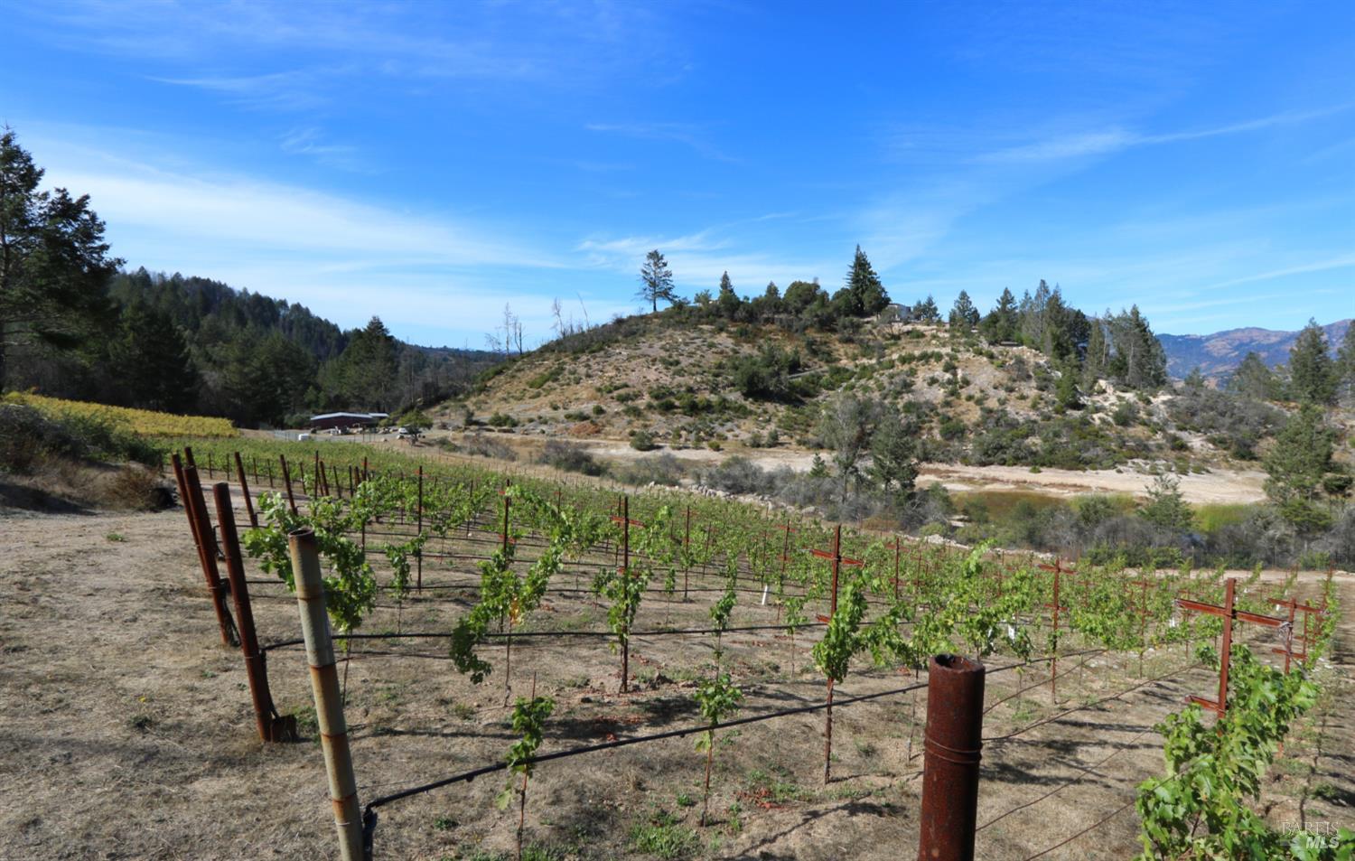 1755 Diamond Mountain Road Calistoga CA 94515