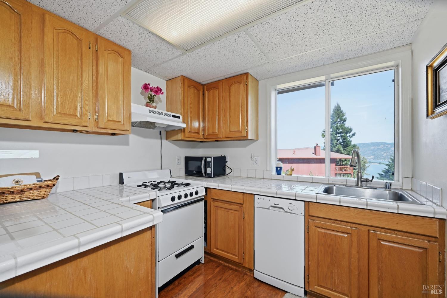 3590 Idlewood Drive Kelseyville CA 95451