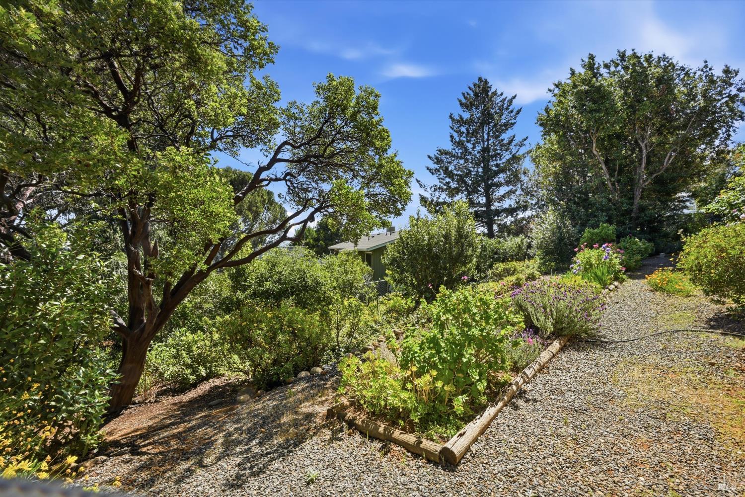 3590 Idlewood Drive Kelseyville CA 95451