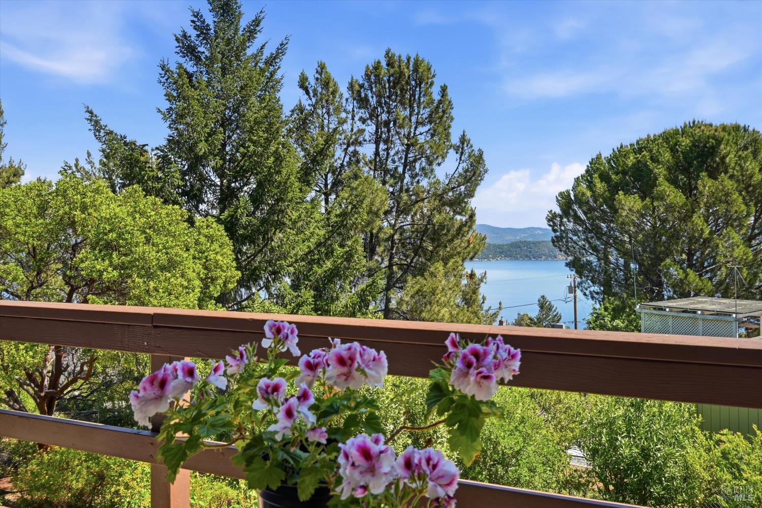 3590 Idlewood Drive Kelseyville CA 95451