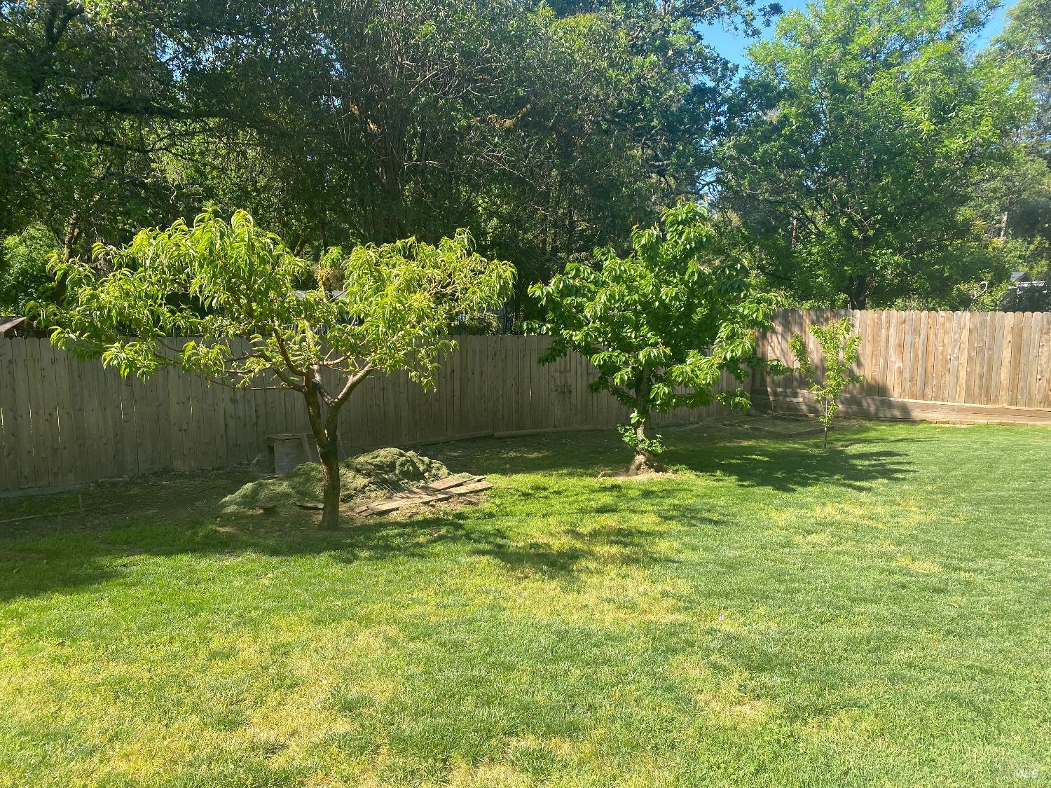 1725 E Madrone Drive Ukiah CA 95482