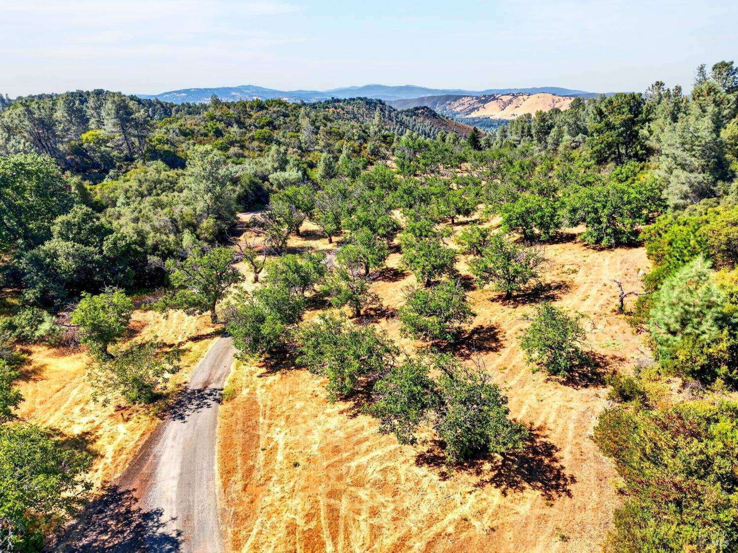7490 Walnut Lane Lower Lake CA 95457