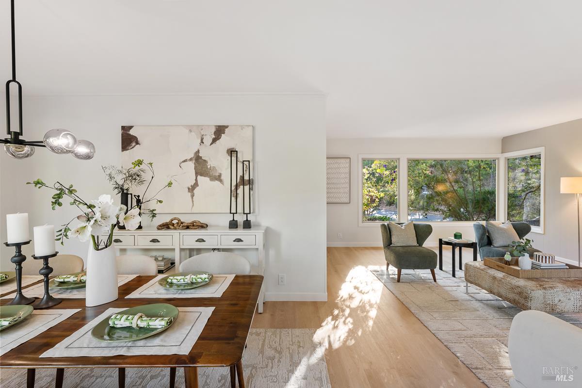 146 Almenar Drive Greenbrae CA 94904