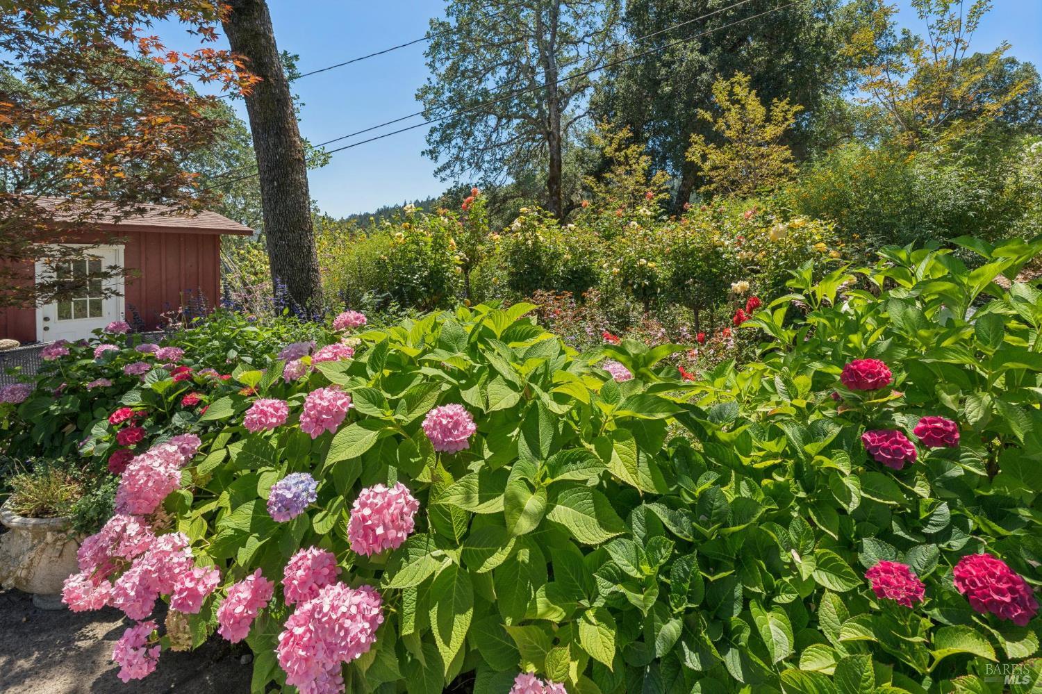 3393 Saint Helena Highway N St. Helena CA 94574