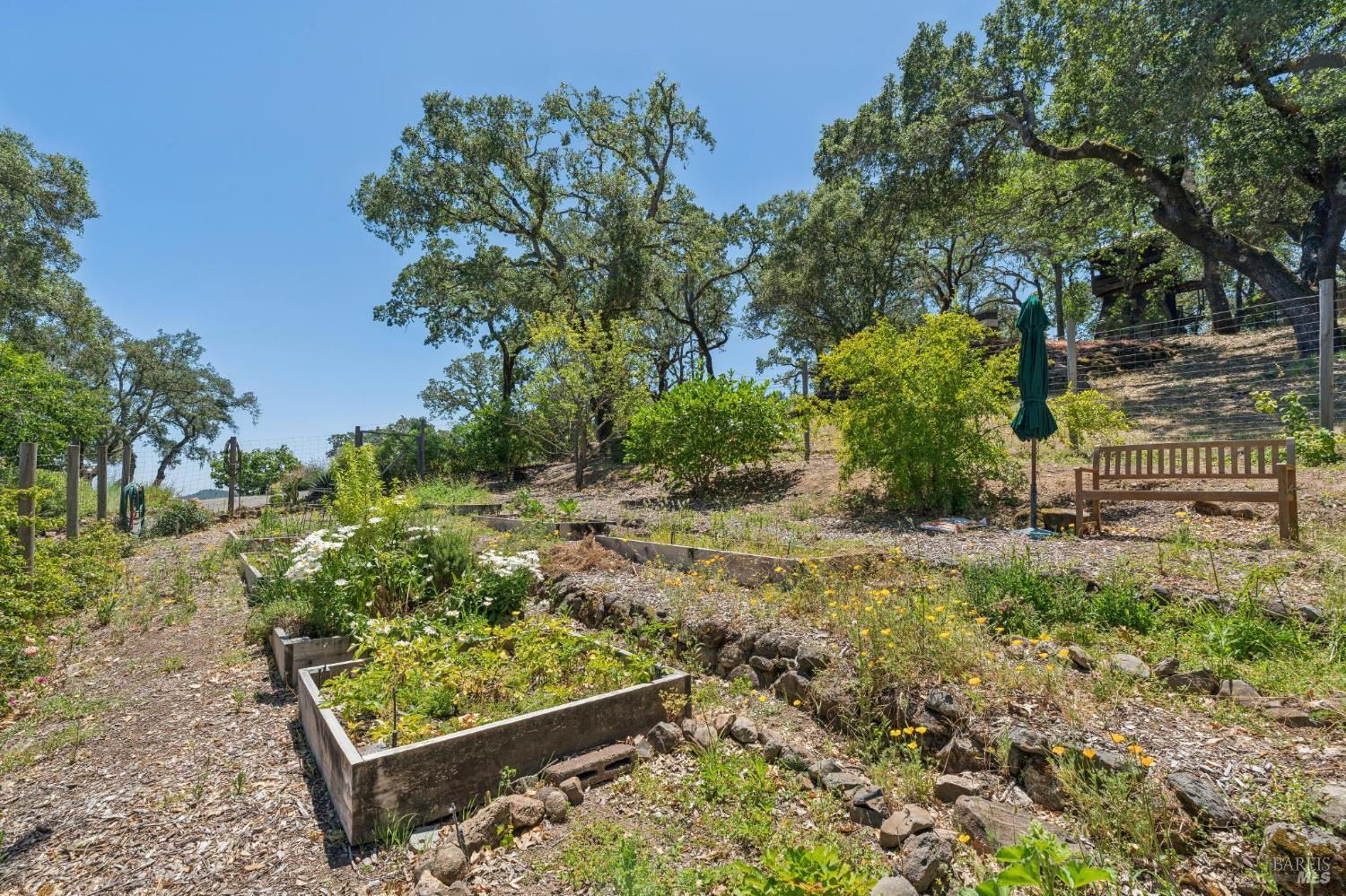 3393 Saint Helena Highway N St. Helena CA 94574