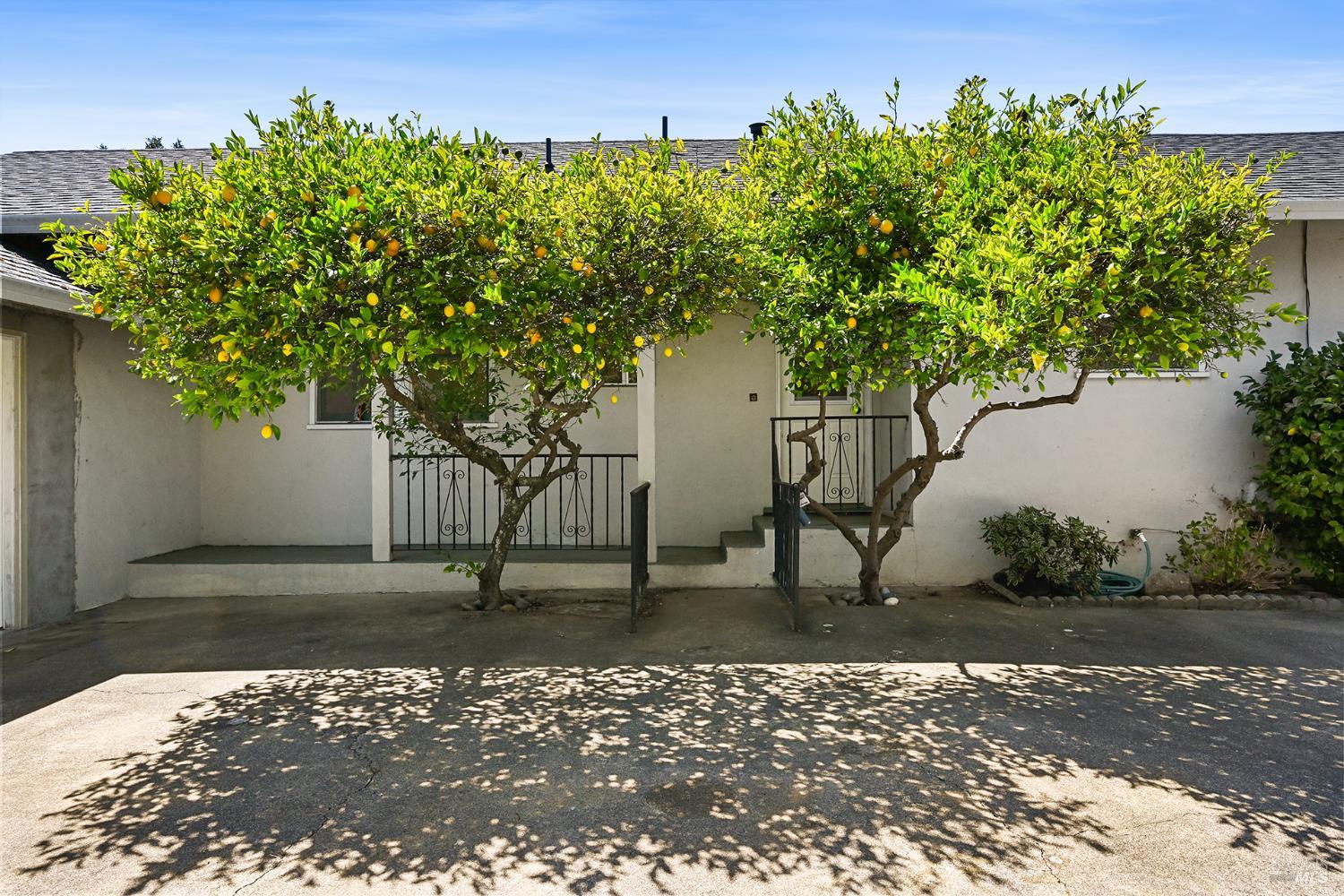 12 Nob Hill Terrace Petaluma CA 94952
