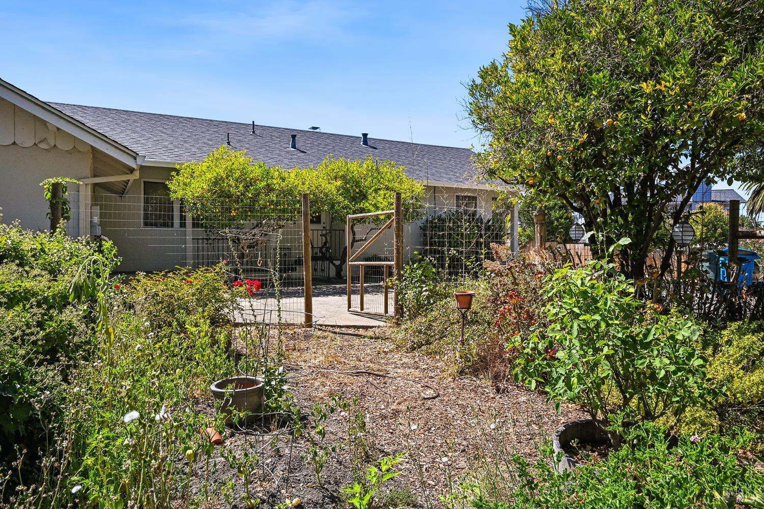 12 Nob Hill Terrace Petaluma CA 94952