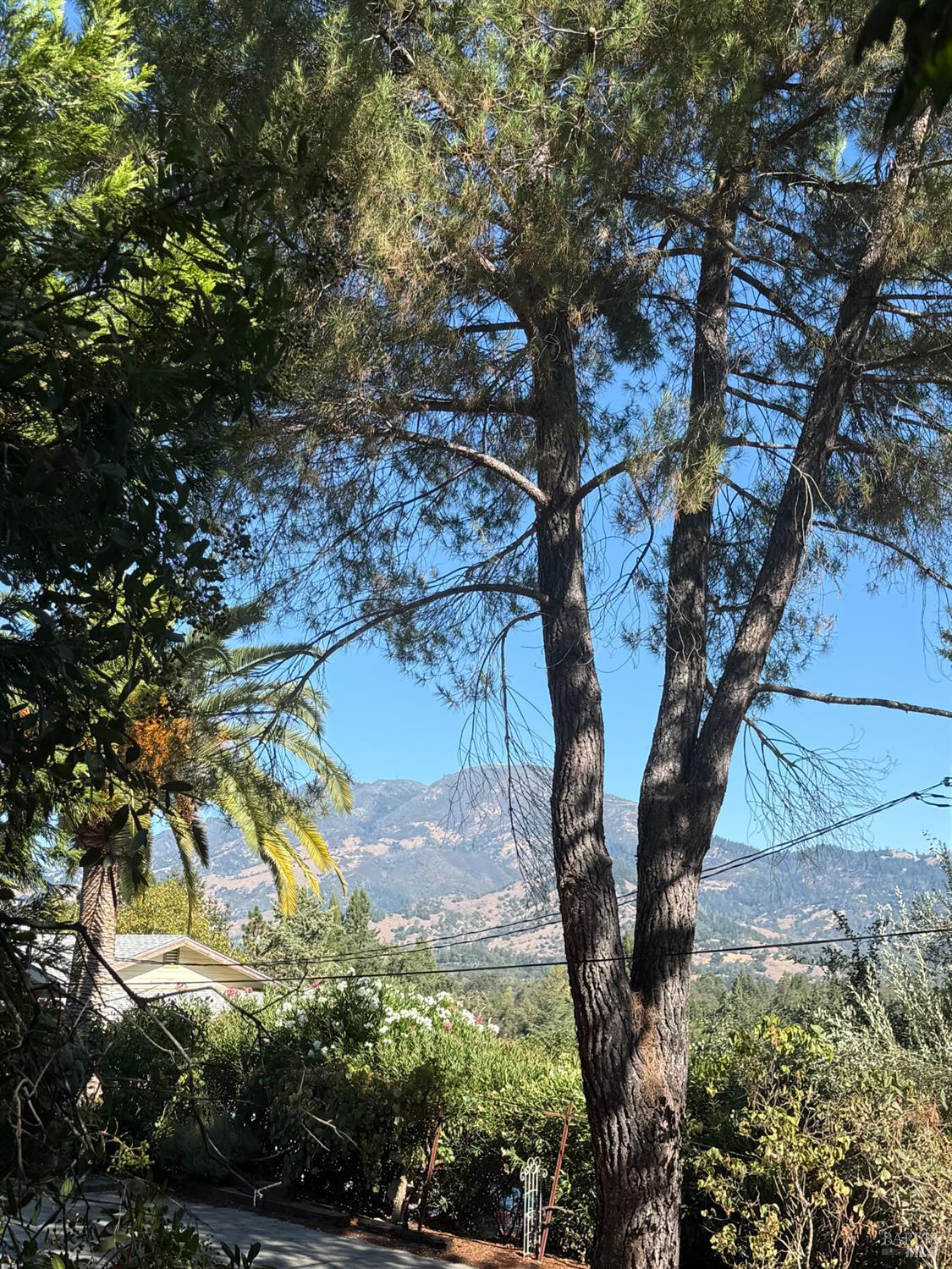 220 High Street Calistoga CA 94515