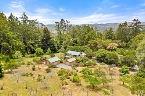 17010 Burl Lane Occidental CA 95465