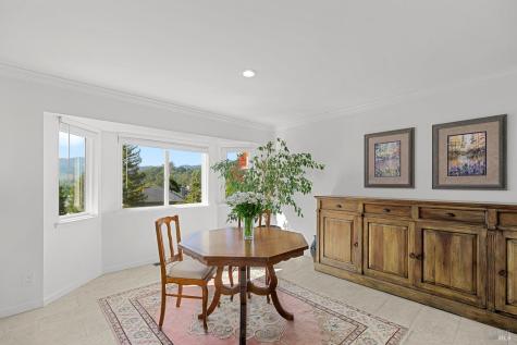 10 Santa Yorma Court Novato CA 94945