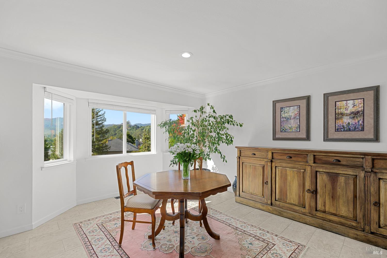 10 Santa Yorma Court Novato CA 94945