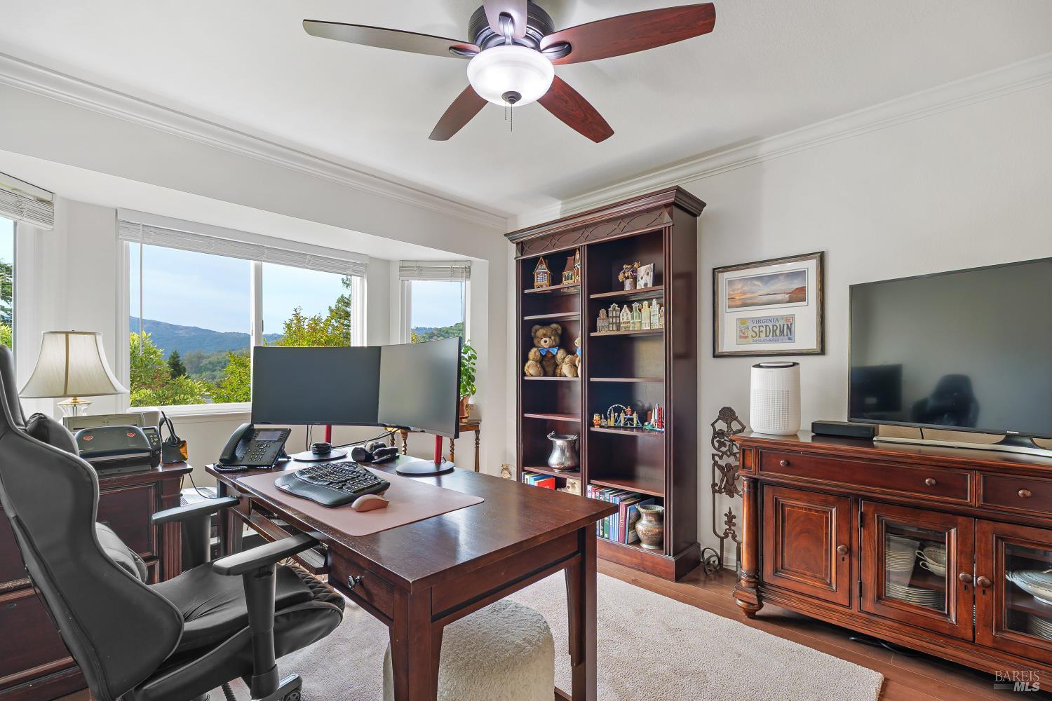 10 Santa Yorma Court Novato CA 94945