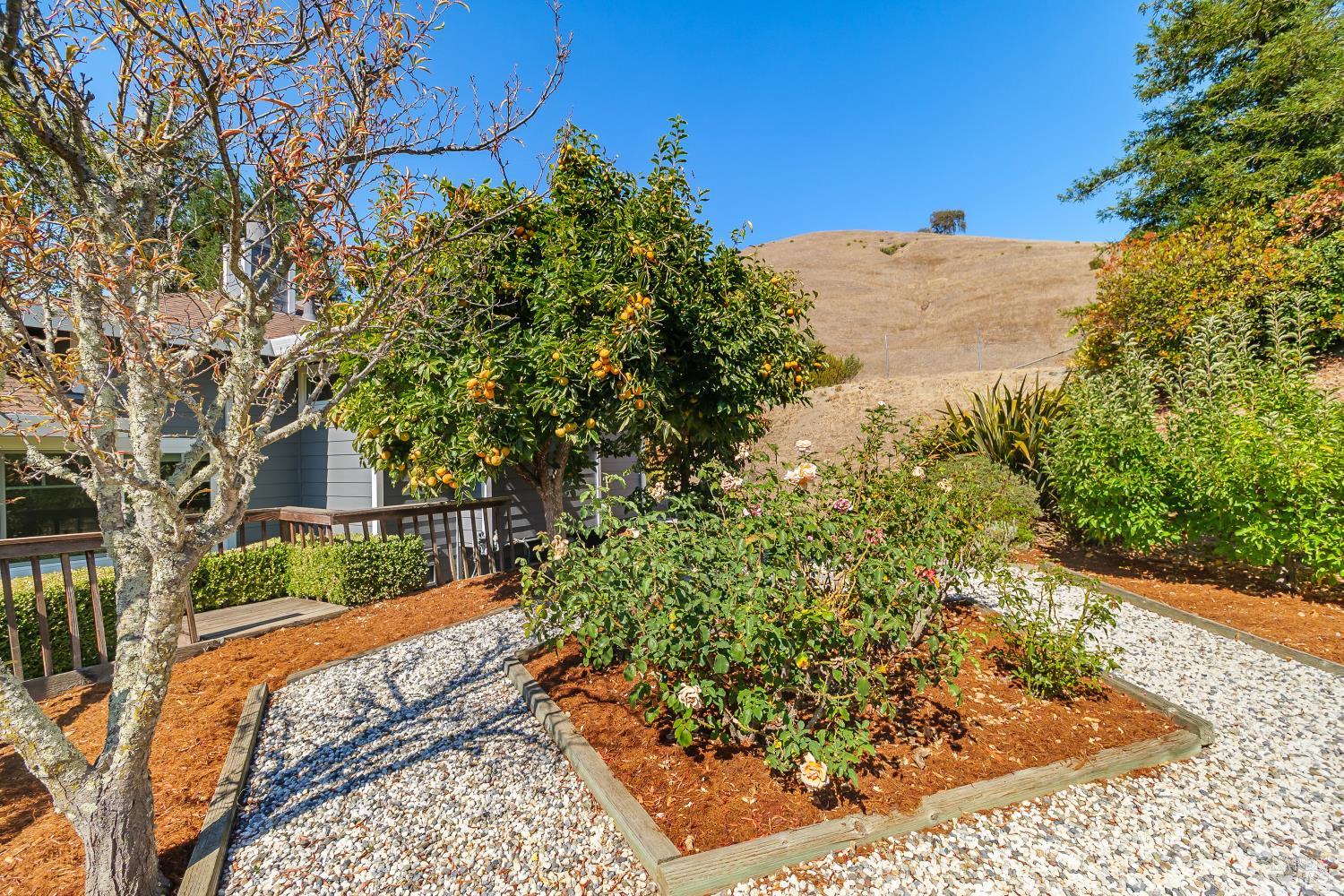 10 Santa Yorma Court Novato CA 94945
