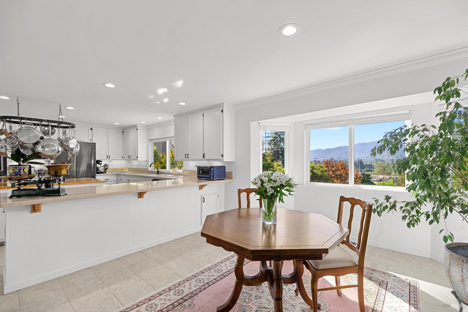 10 Santa Yorma Court Novato CA 94945
