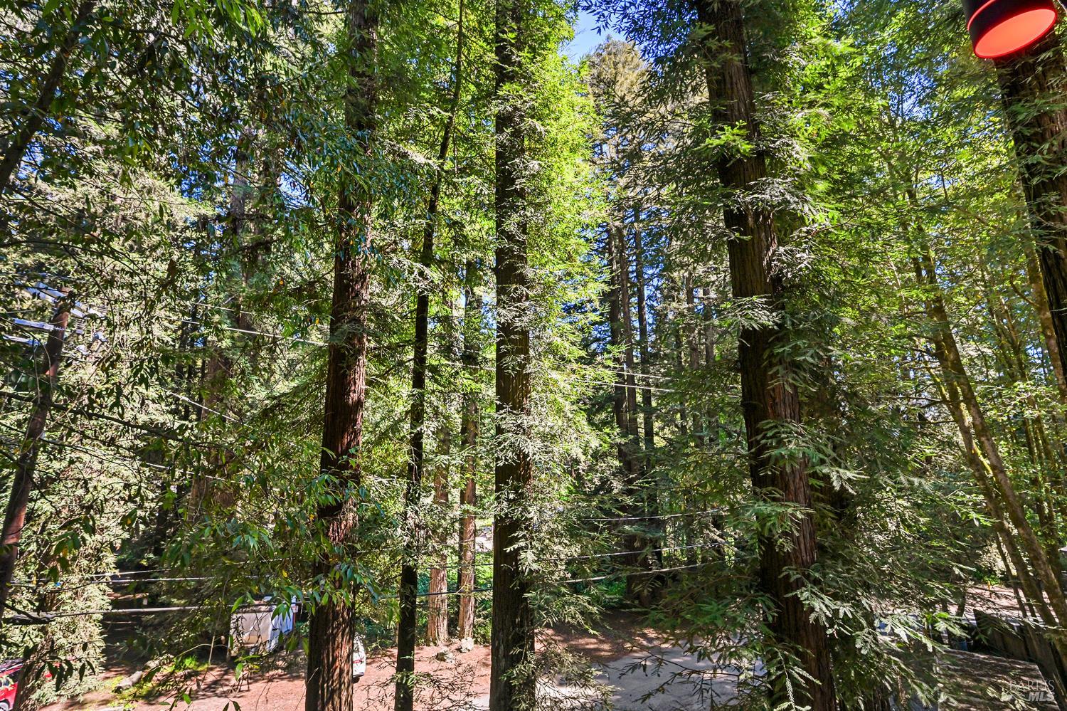 14685 Willow Road Guerneville CA 95446