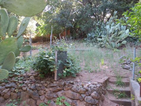 17153 Park Avenue Sonoma CA 95476