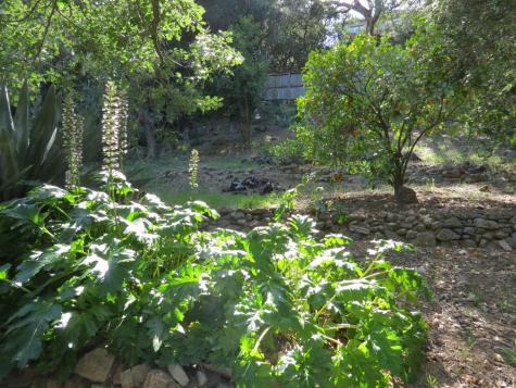 17153 Park Avenue Sonoma CA 95476